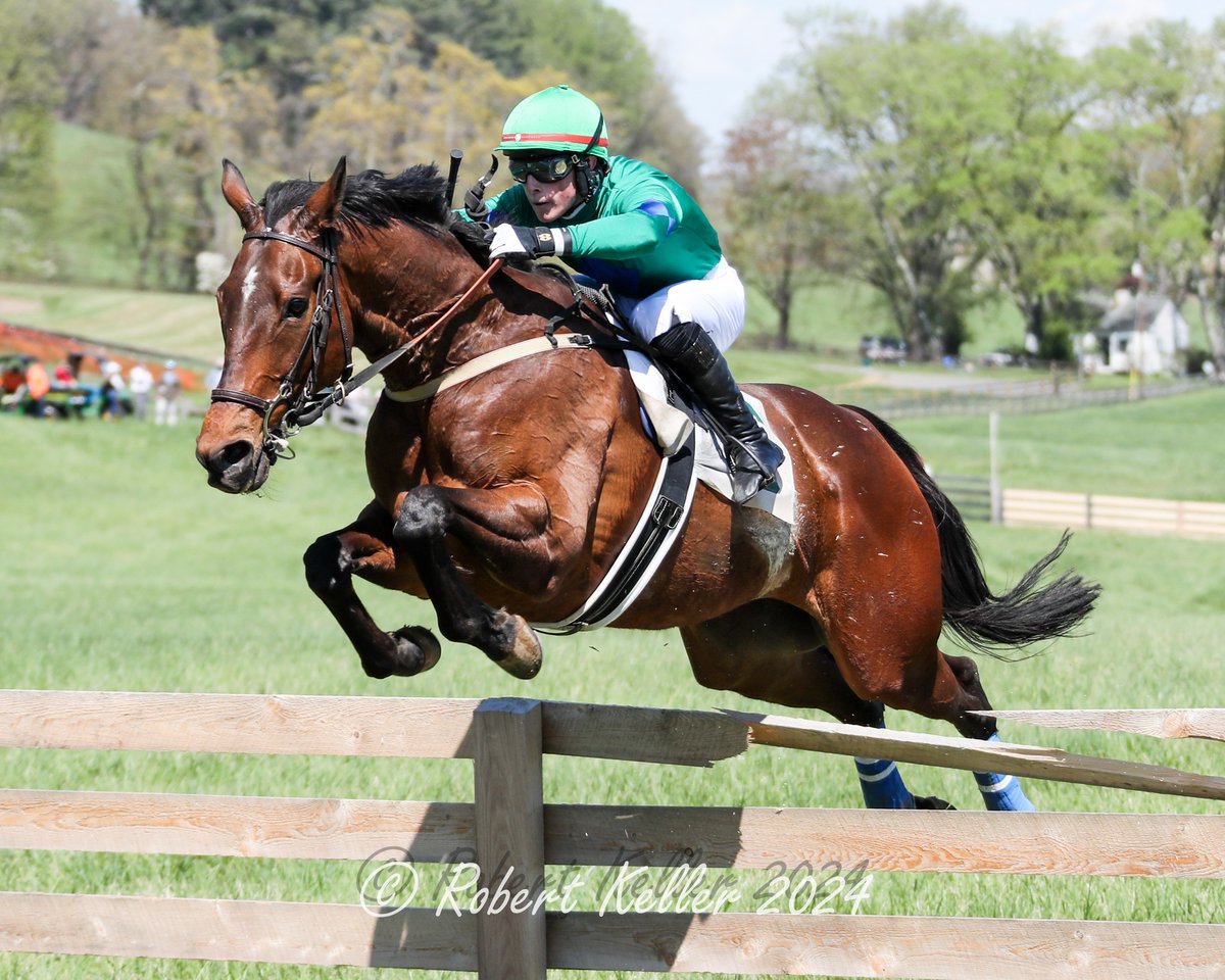 #MDBred Awesome Adrian, second in the 2022 Grand National Steeplechase, did one better last Saturday, when he won this year's edition by 4 1/2 lengths! He's a homebred for Nancy Reed, trained by Kathy Neilson and ridden by Teddy Davies.