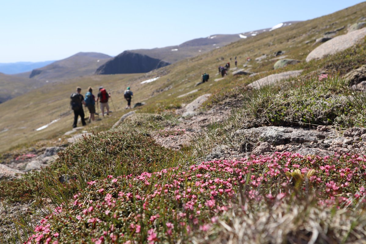 Apply to be a Seasonal Mountain Ranger on @RSPBScotland Abernethy Reserve 🏔️ An exciting opportunity to work in this spectacular reserve this summer and help protect the wild and fragile Cairngorm Plateau. 🗓️ Deadline: End of Day Thursday, 25th of April bit.ly/cc-jobs-and-te…