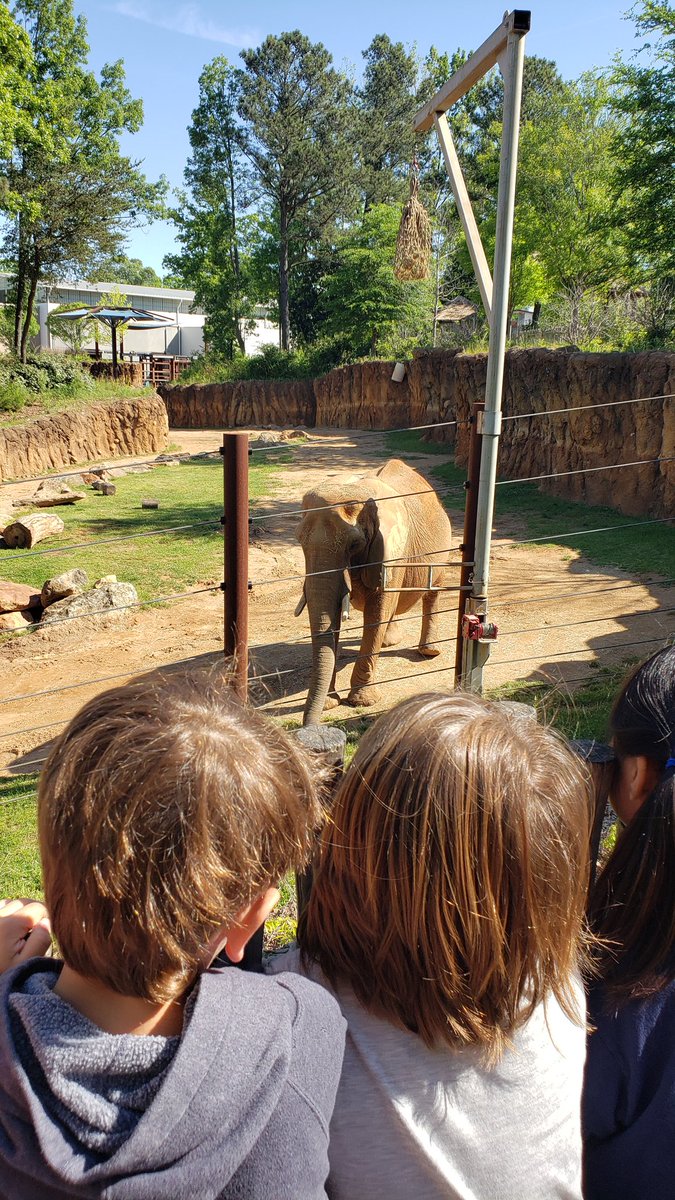 Aubrey Minnick tweet media