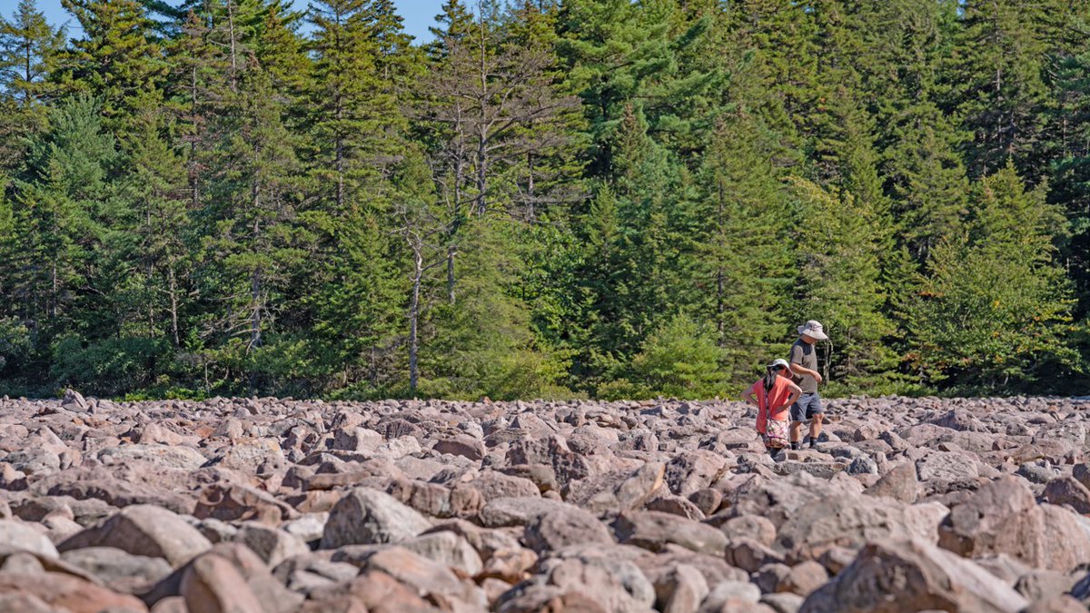 Escape to Nature! 🌱 Explore hiking trails, biking paths, waterfalls, and more in charming towns like East Stroudsburg, Jim Thorpe, Honesdale, and Milford. 🥾 poconomountains.pulse.ly/cwkhhzer1j #PoconoMtns #PoconoBucketList #GetOutside