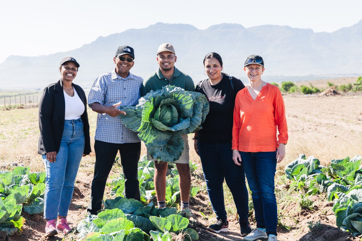 Fetola’s team were out in the field last week, eager to observe the progress of Ansell Langeveldt from Veldt Boedery, a participant on the TP15 programme. It was an outing reaffirming everyone’s commitment to nurturing entrepreneurial excellence within our community. #Tholoana