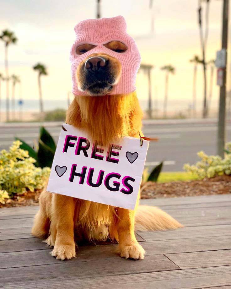 Ski_CTO's tweet image. i luv it