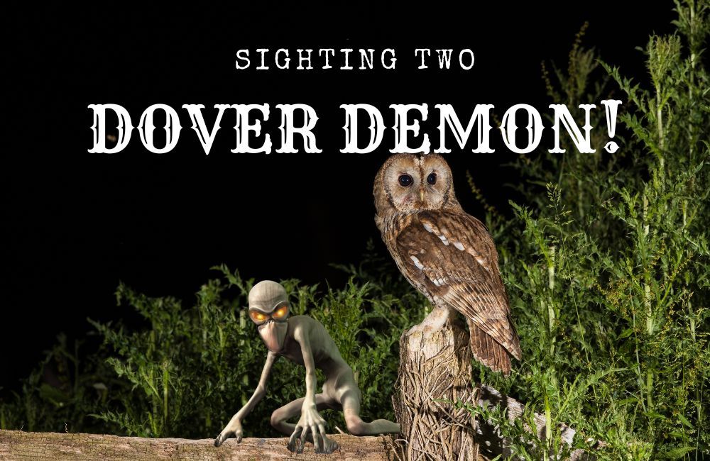 Calling all eager cryptid hunters once again! The elusive Dover Demon has appeared in the CUEniverse! Your next 3 clues can be found in the following report on the creature’s possible alien origins!👀 Stay tuned for more clues throughout the week!👀 cardstheuniverseandeverything.com/blog/hunt-for-…