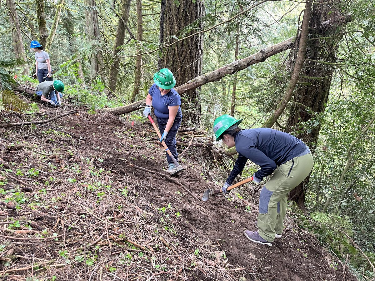 WSUVancouver's tweet image. WSU Vancouver and the Washington Trails Association collaborated on their final Coug Trails work party April 13. Fourteen participants contributed 76 work hours to rough cut 410 feet of new trail. Thank you to all who volunteered this year! 
#CougTrails #WSUVancouver #GoVanCougs