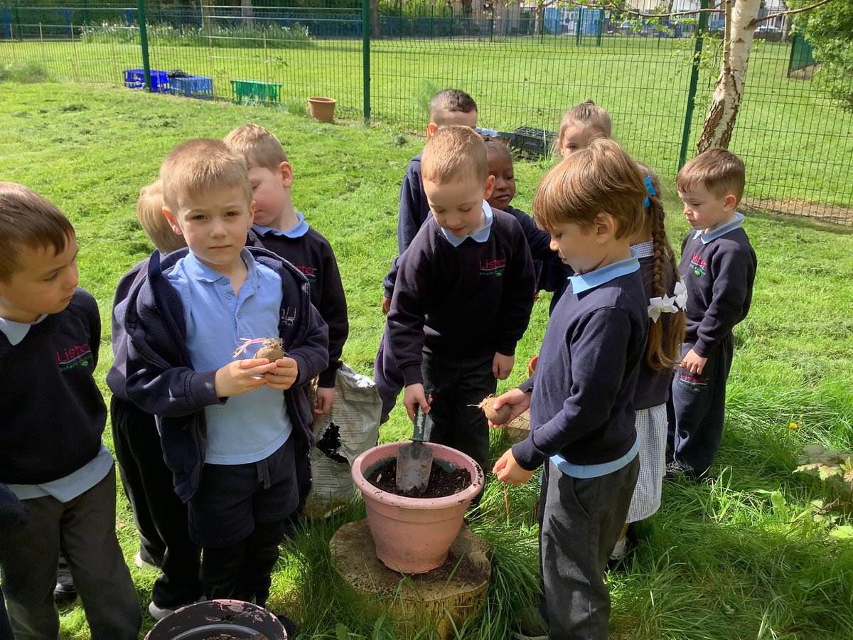 We were busy in our garden today planting some new bulbs. We can’t wait to see what will grow! 🌳🌸