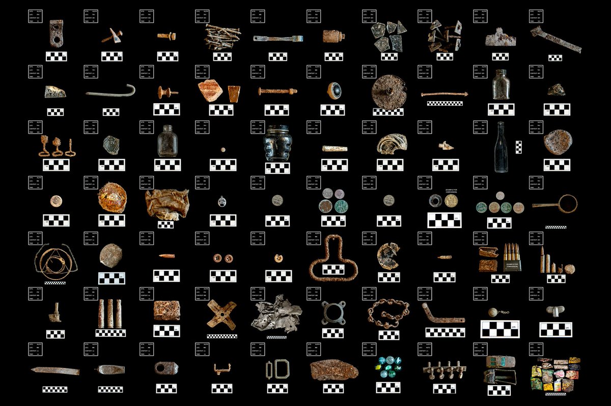 Harvey Mills Photo tweet media