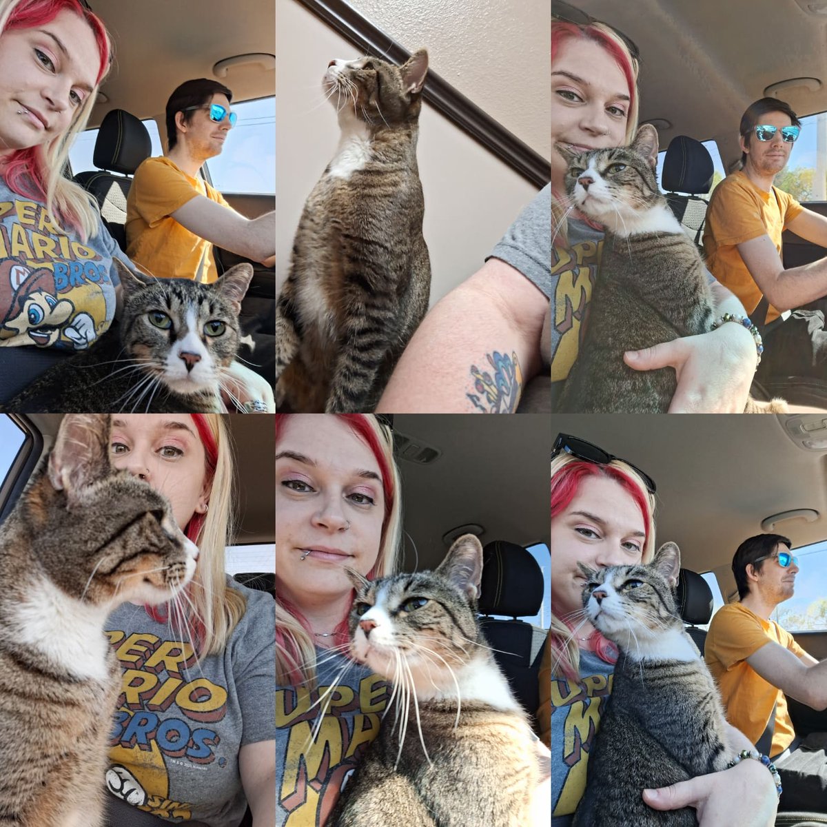 ClockworkJules's tweet photo. Took little Truman for his yearly shots on Sunday! He's doing well and on the way home it's my  to  pictures with him in my lap! 😍 https://t.co/pGRfQlJzg2
