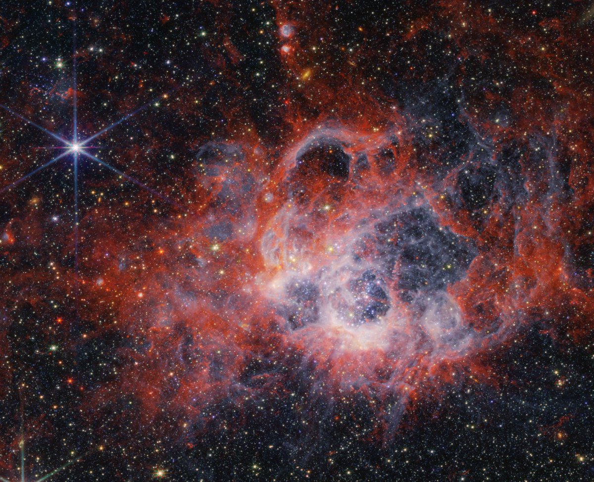 #PPOD: This image from @NASAWebb’s NIRCam (Near-Infrared Camera) of the star-forming region NGC 604 shows how stellar winds from bright, hot young stars carve out cavities in surrounding gas and dust. Credit: @NASA @esa @csa_asc @STScI