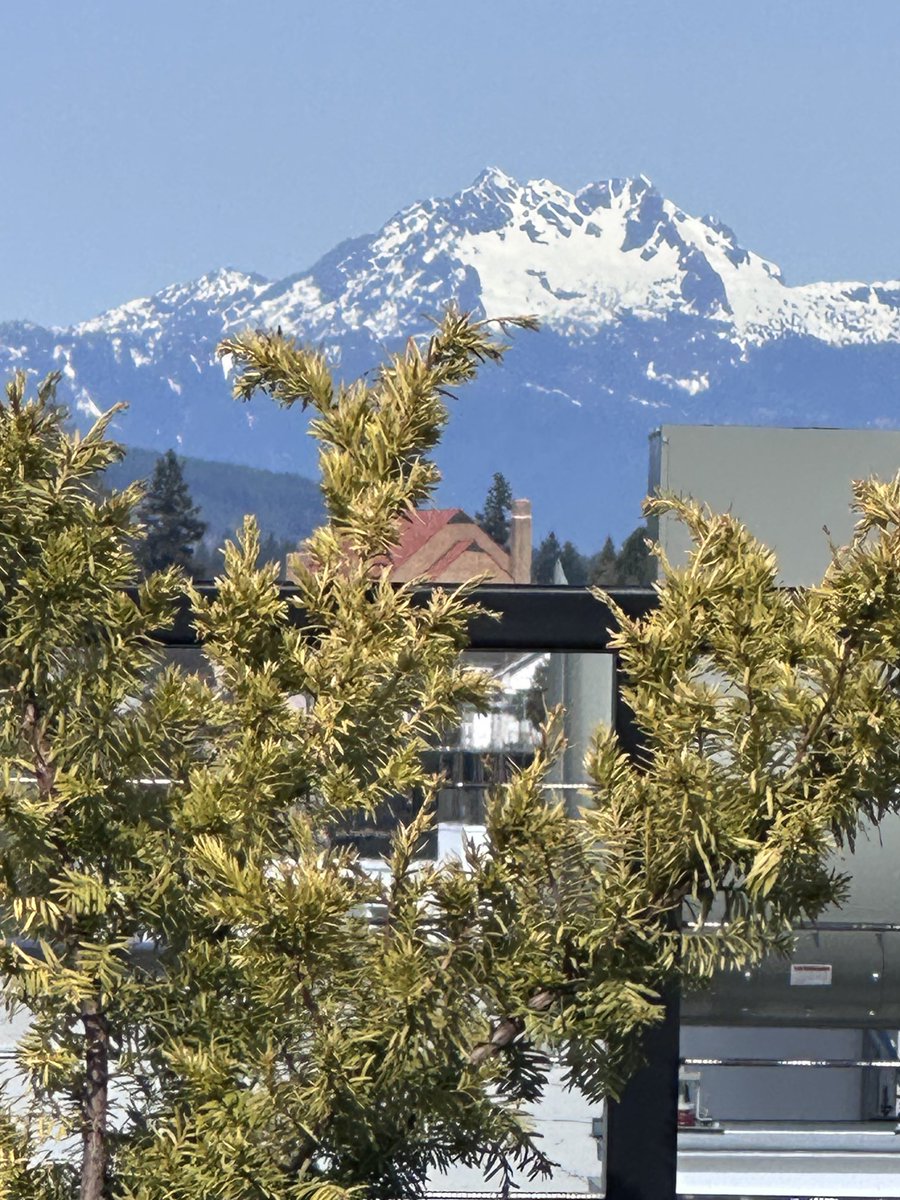 Olympic Mountains ⛰️