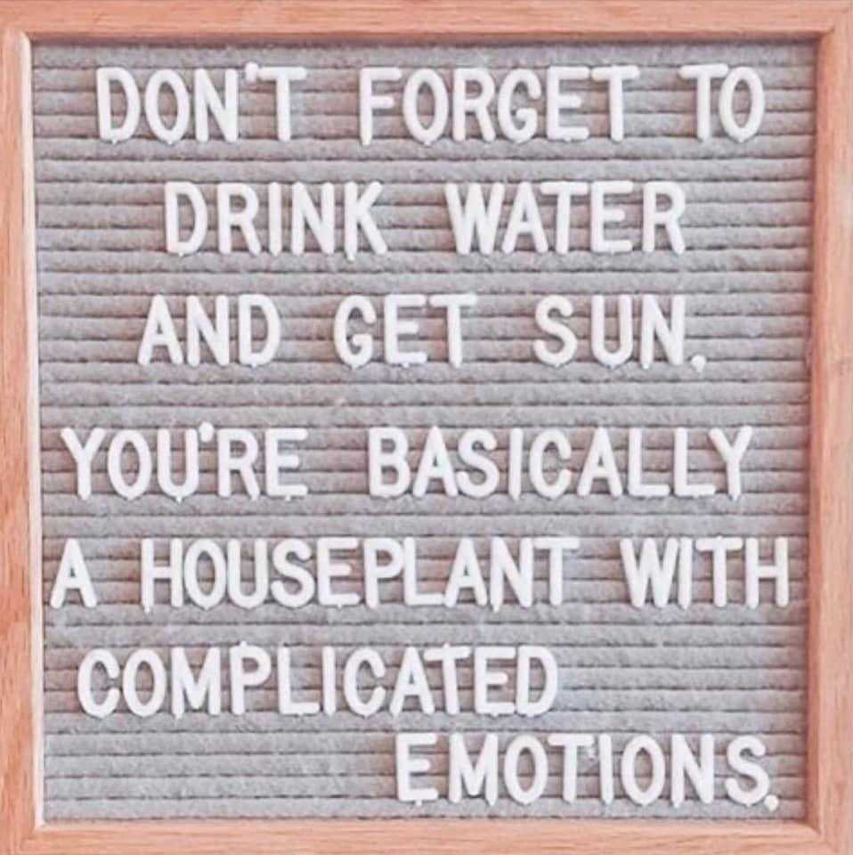 🌱 Remember: Hydration and sunlight are key! Don't forget to drink water and soak up some sun today. After all, we're all just houseplants with complicated emotions. #SelfCare #StayHydrated #SunshineVibes #bobandbrad #healthandwellness