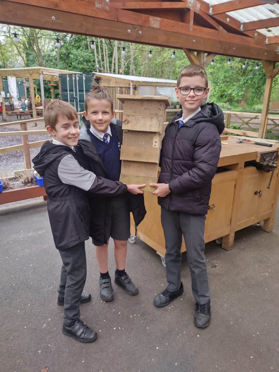 St. Andrew's CE (@standrewsce) on Twitter photo Ta dah!  Bats have never had it so good. Ta dah!  Bats have never had it so good.