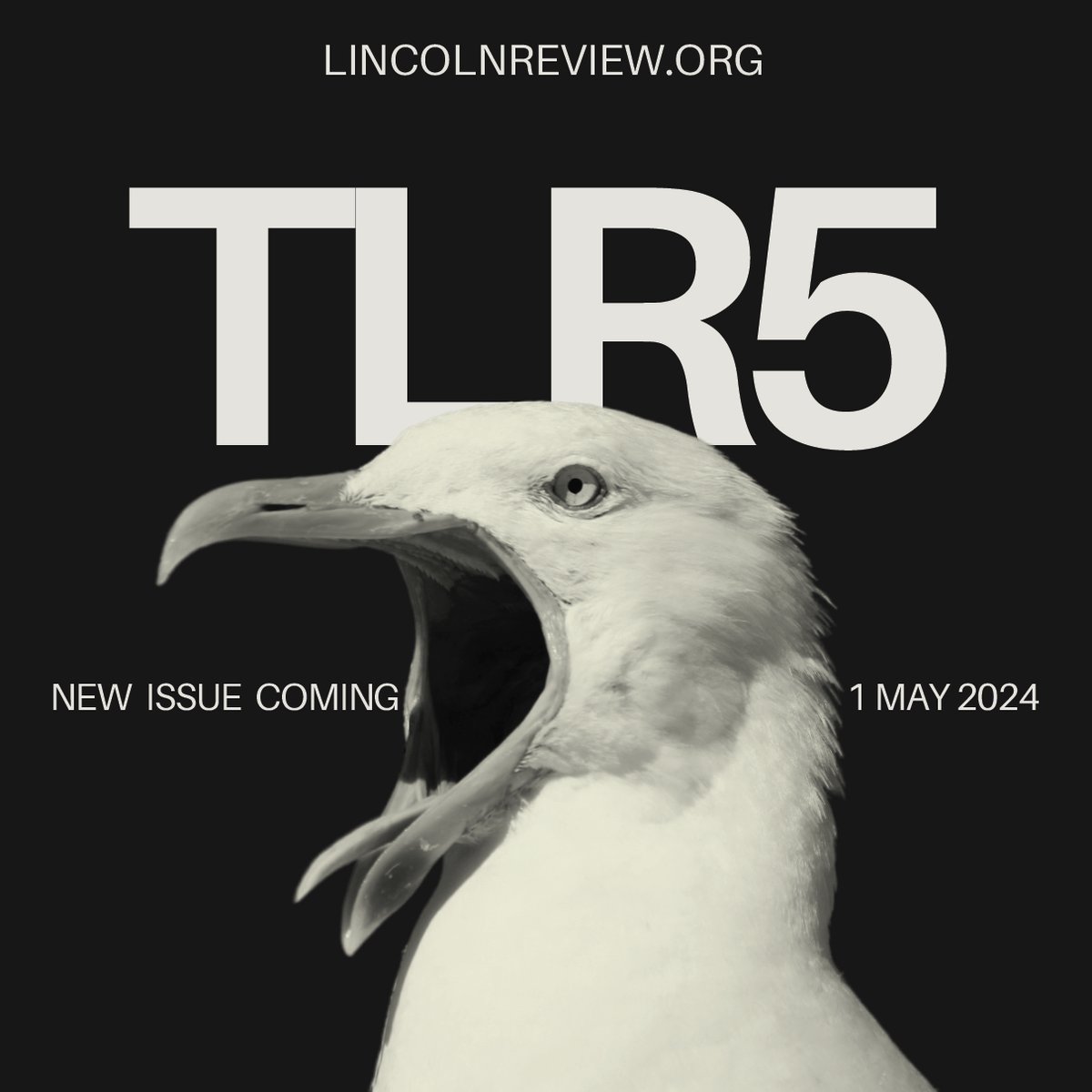 Issue 5 of The Lincoln Review drops on 1 May 2024. @unilincoln @UofLWriting @UoLCreativeArts @UniLincolnArts