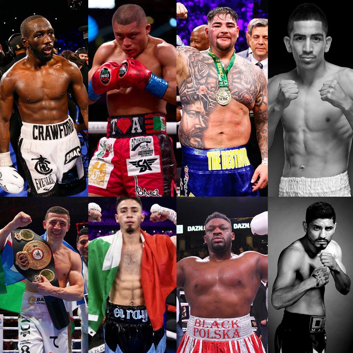 BoxingROKus's tweet photo. Wow! August Los Angeles #BoxingCard Wow https://t.co/EgyLyTYEXO