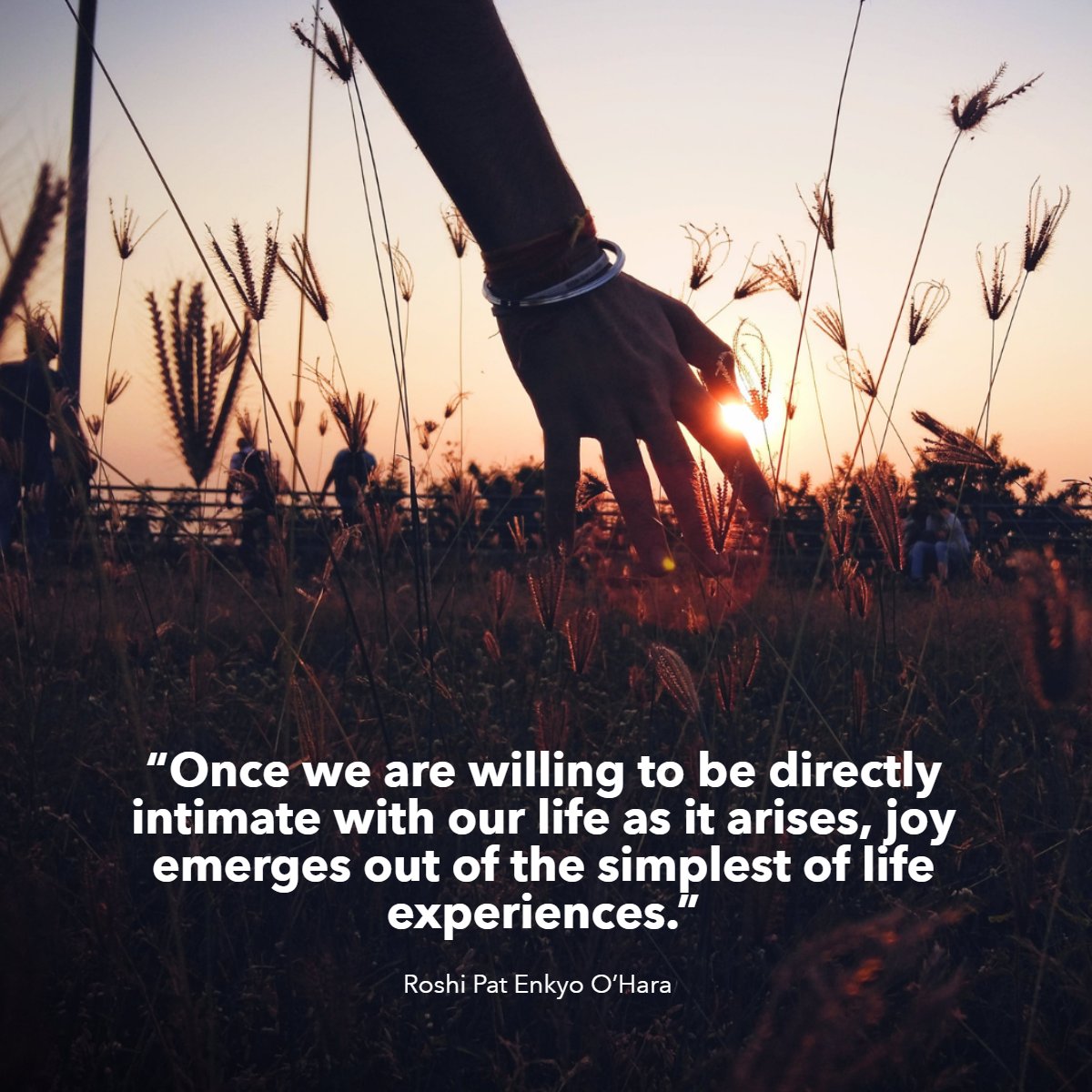 'Once we are willing to be directly intimate with our life as it arises, joy emerges out of the simplest of life experiences'
— Roshi Pat Enkya O'Hara 🤗

#quotes #happinessbegins #happinesscomesfromwithin #happiness❤️ #happinessiskey #quotestagram
