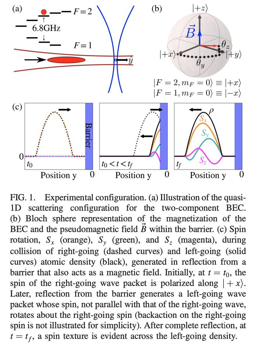 Excited that our observation of an unexpected sort of indistinguishability-driven #quantum hydrodynamics (a spinoff [sorry, couldn't help self] of our #TunnelingTime project) is now out in @PhysRevLett ! doi.org/10.1103/PhysRe… @uoftphysics @CQIQC_Toronto @CIFAR_News