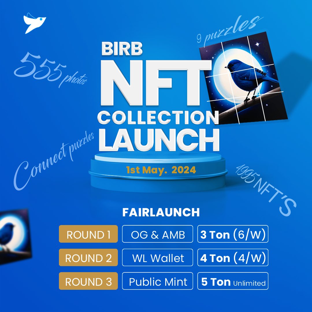 The Birb’s #NFT Collection: 
A Unique Puzzle Adventure

The Birb NFT collection is as #unique as the entire project itself. We are about to introduce something new to the market, something that has never been seen before. We consider this a testing stage for the market.

Here are