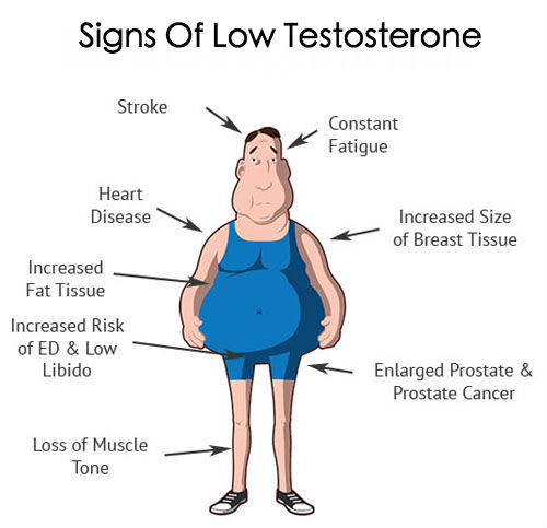 For decades, #Testosterone levels have been declining. It’s normal for testosterone levels to⬇️w/ age, but there’s been a population-level drop w/ each generation since the 70s. Why?  

#OBESITY & SEDENTARY LIFESTYLES, #TOXINS (EDCs) #STRESS & MENTAL #HEALTH ISSUES ⬆️#DIABETES