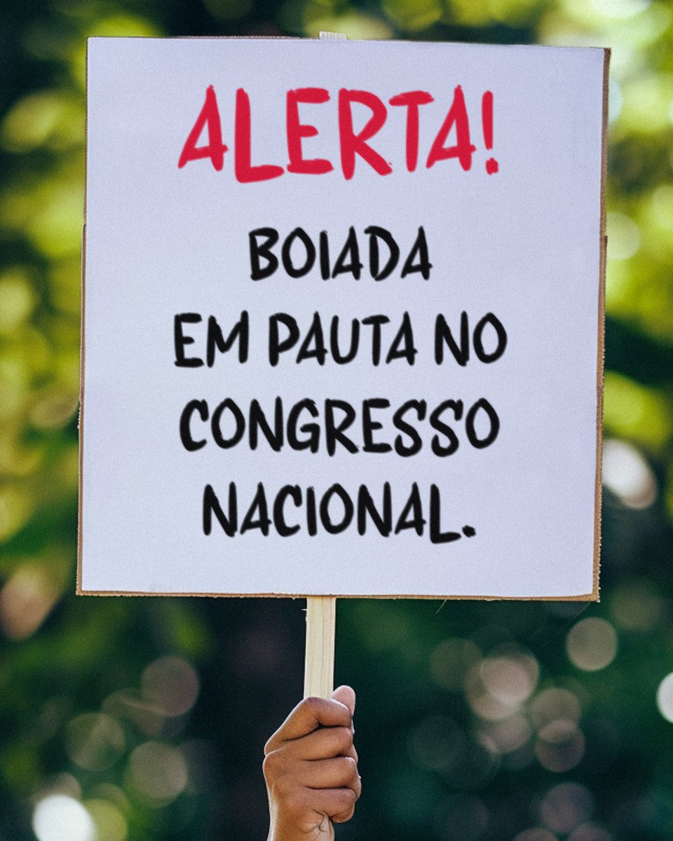 🚨Vamos colocar o Congresso Nacional sob pressão! Essa semana é mobilização pelos direitos dos povos indígenas na #ATL2024 e contra retrocessos na agenda ambiental no Congresso Nacional em votação de PLs que provocam o desmatamento #SalveoCódigoFlorestal