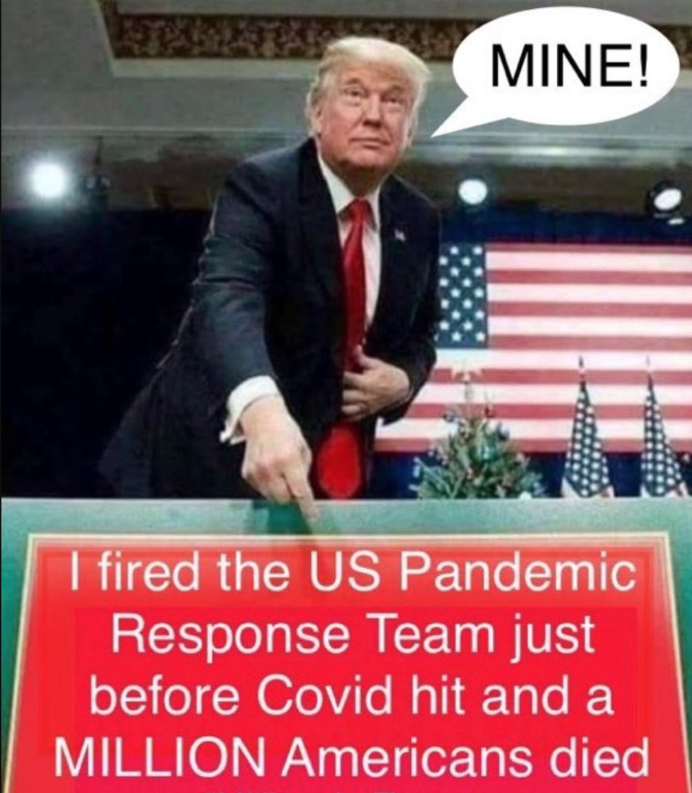 Is that why Trump fired the Pandemic Response Team 
Trump killed over 1 million Americans!!