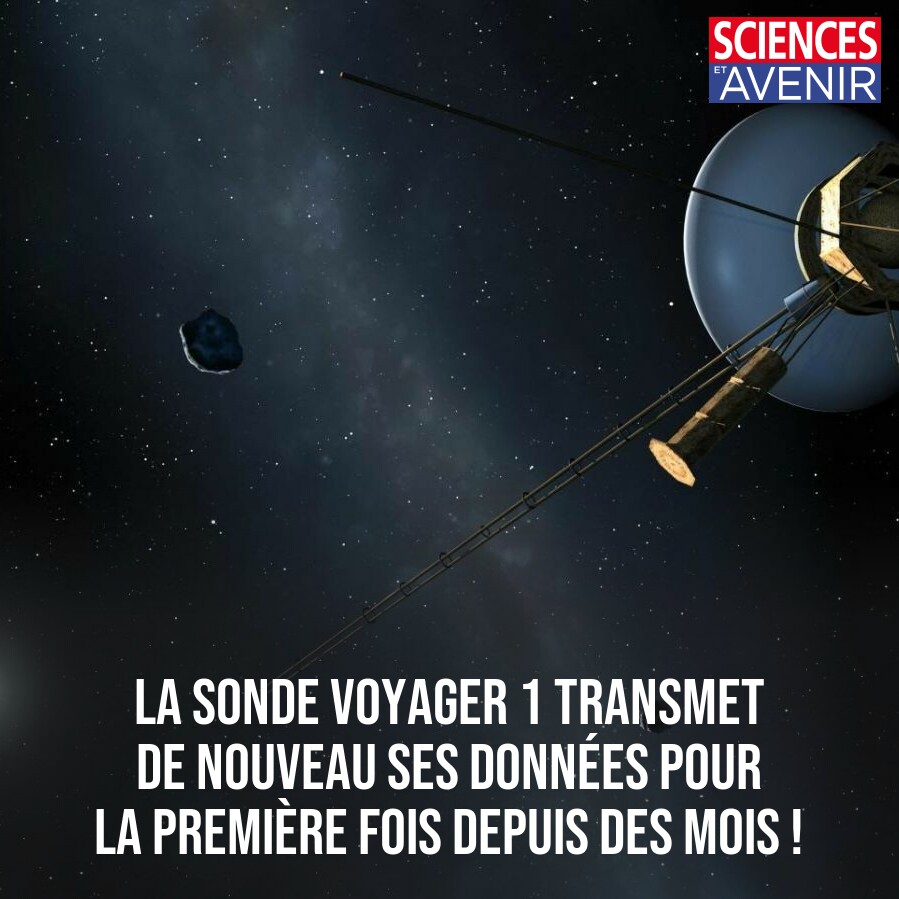 La sonde, qui se trouve à environ 24 milliards de kilomètres de nous, n'envoyait plus de données scientifiques et techniques fiables sur son état depuis novembre 👉 l.sciencesetavenir.fr/eAz