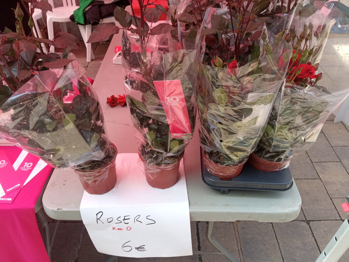 Jordi Valls Olivé tweet media