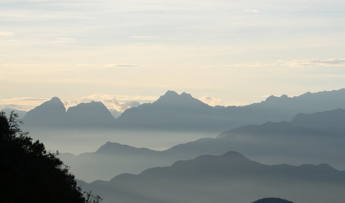 like birds? like mountains? JOIN THE MOUNTAIN BIRD NETWORK Here's how it goes: 1) do a systematic bird survey of a mountain slope 2) your wildest dreams will come true info posted here: benjamingfreeman.com/mountainbirdne… (please share widely)