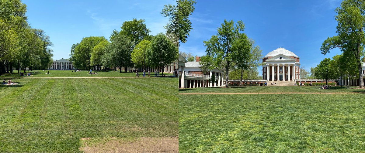 A quick trip to Grounds after my morning work meeting. I so rarely get to visit - gorgeous day for lunch on the Lawn.