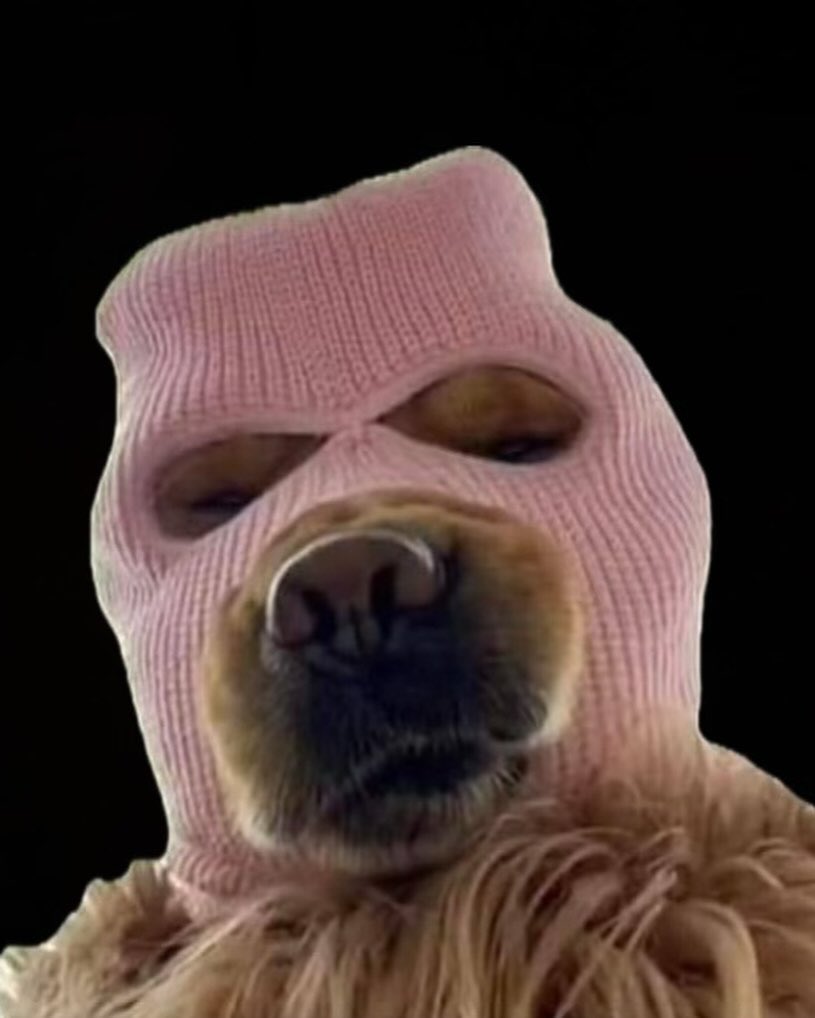 Listening to Havana by <a href="/Camila_Cabello/">camila</a> while watching the <a href="/Ski_CTO/">Ski Mask Dog</a> Chart lmao
