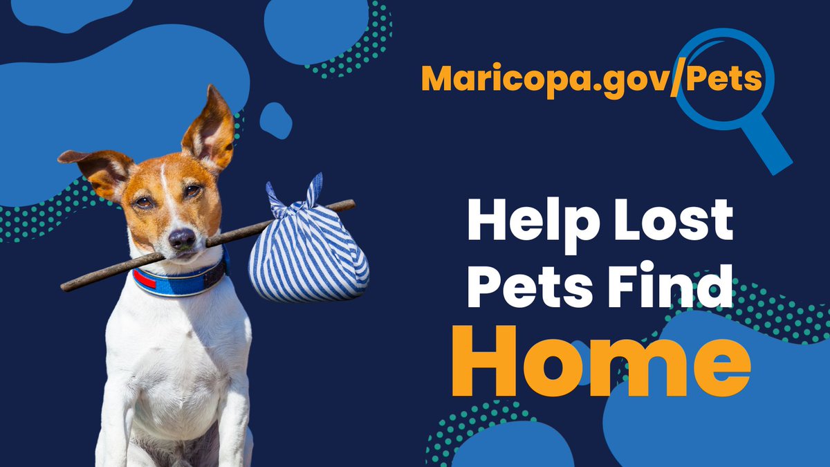 Do you know what to do if you lose your dog or find a lost dog? @maricopapets has resources to help! Report a lost dog and check the lost dog map online here: maricopa.gov/162/Lost-Found… Help pets find home faster by getting them licensed & microchipped!