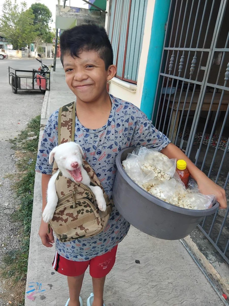 '¡Conozcan a Eduardo, o como lo llaman sus amigos 'Lalo'! Está vendiendo palomitas con su adorable perrito para ayudar a su familia. 💪