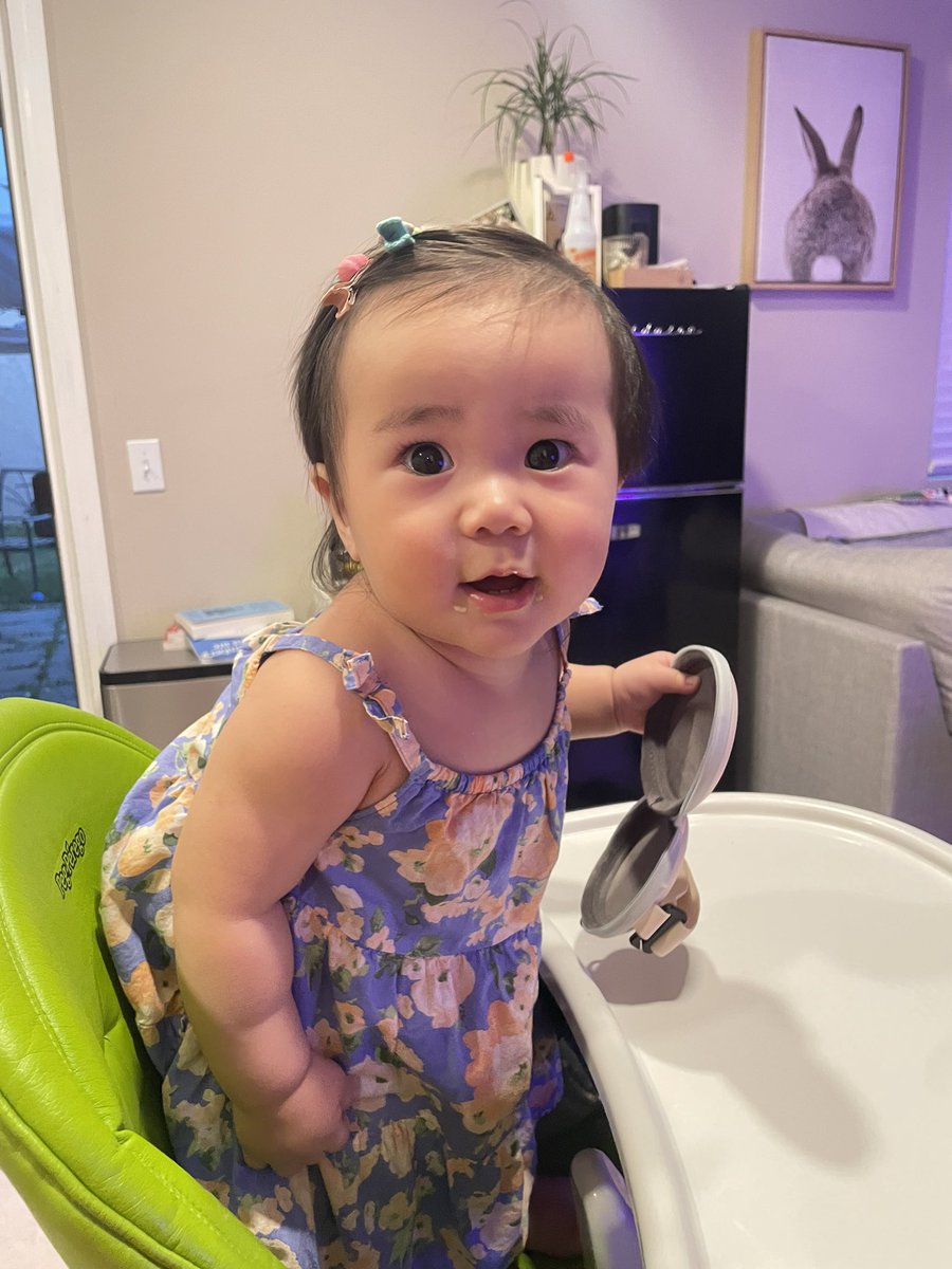 前一天晚上哄睡了两个小崽子，悠闲地跟老公窝在沙发上吃着说水果，我说什么时候咱俩来个二人旅行吧，两天一夜的也行啊～我老公说，咱两都是操心的命，放心不下崽，很有可能安排好了行程，也会在出发的当天临时改变主意，带着崽们一起出发😑
然后！第二天！又给我家带回来了一只狗！！！