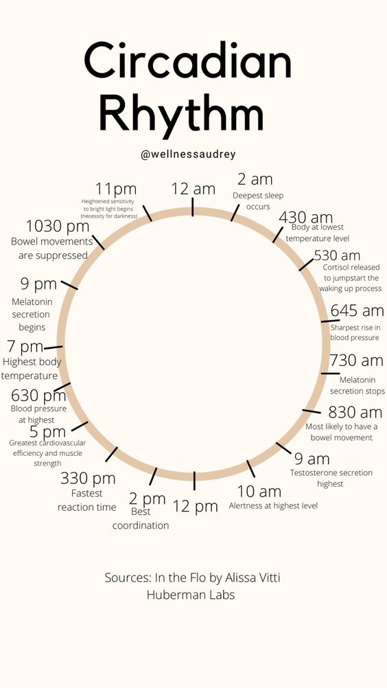 Do you know the circadian rhythm?