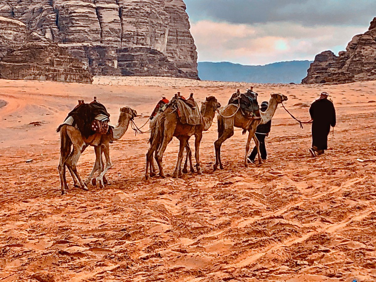 @TheTravelCamel @CharlesMcCool A1. Many many favourites but what immediately comes to mind is Wadi Rum. It is etched in my heart. #TRLT