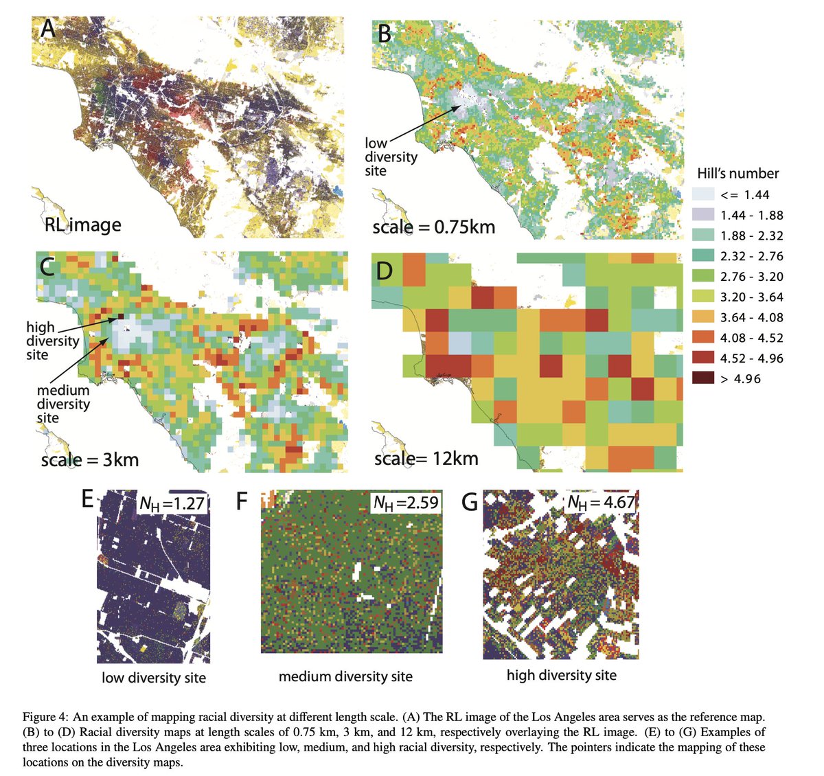 Cool! 'We include a bird's eye view of the spatial distribution of racial sub-populations, numerical grids for calculating racial diversity within user-defined regions, & precalculated maps of racial diversity' Paper: osf.io/preprints/soca… Data: socscape.edu.pl