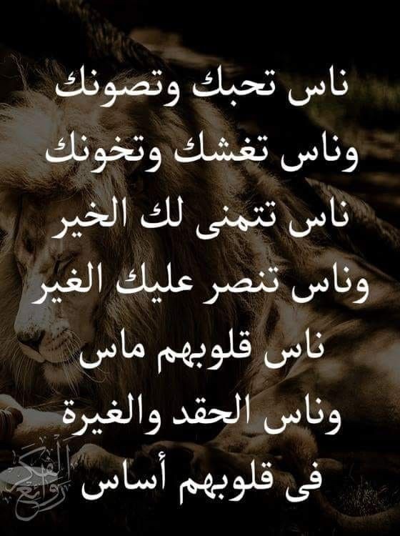 Le proverbe du mardi soir 👌🌹