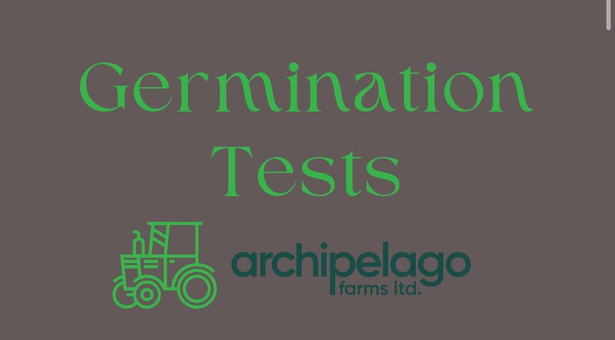 ArchipelagoFarm's tweet photo. Our experience with low germination rates emphasizes the need for early testing. Conducting these tests ensures seed viability, helping you make informed decisions and reduce crop failure risk. Remember this small step for a big harvest! πΏπΎ #SustainableFarming #KnowYourSeeds https://t.co/47yvwrq1jH