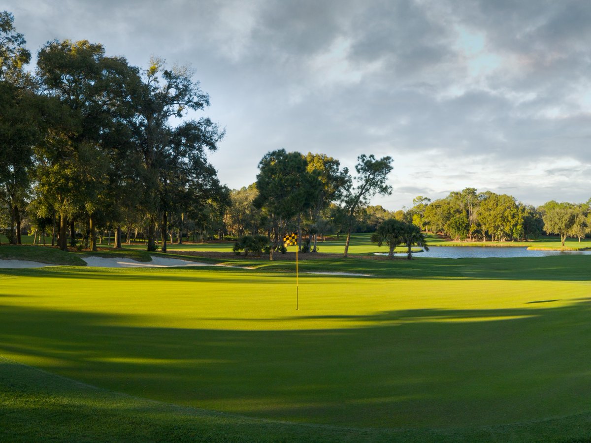 ⛳ Discover the thrills of Copperhead through the eyes of Zac Radford and Sabrina Andolpho. Watch as they test their skills against the challenges of our PGA TOUR course. 🐍  

Watch now: bit.ly/4d42OG3
🏌️realzacradford
🏌️‍♀️sabrina.andolpho

#Innisbrook #Golf #PGA #Swing