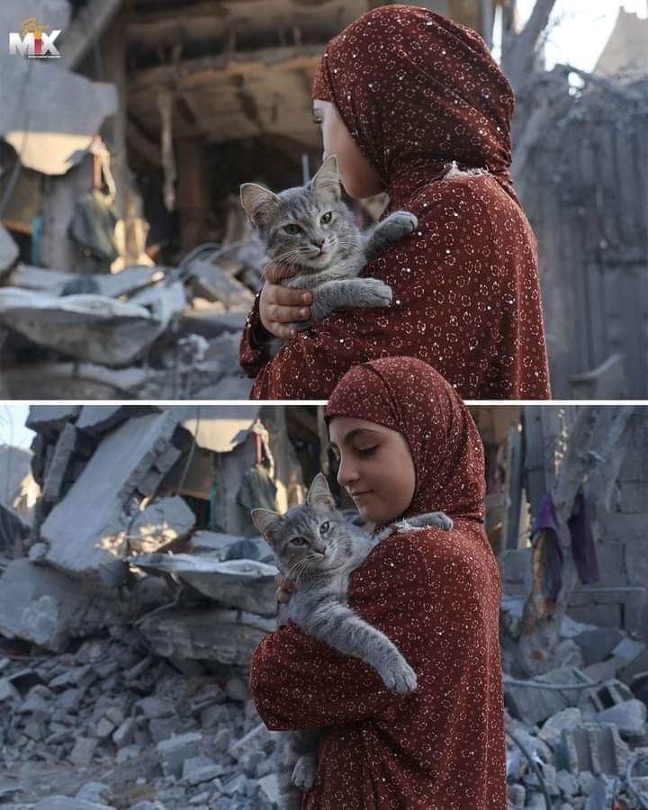 كن اللطف أينما حللت فخير القلوب أحنها