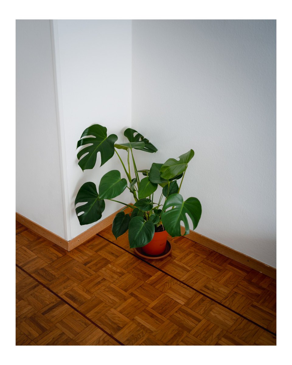 Chez moi