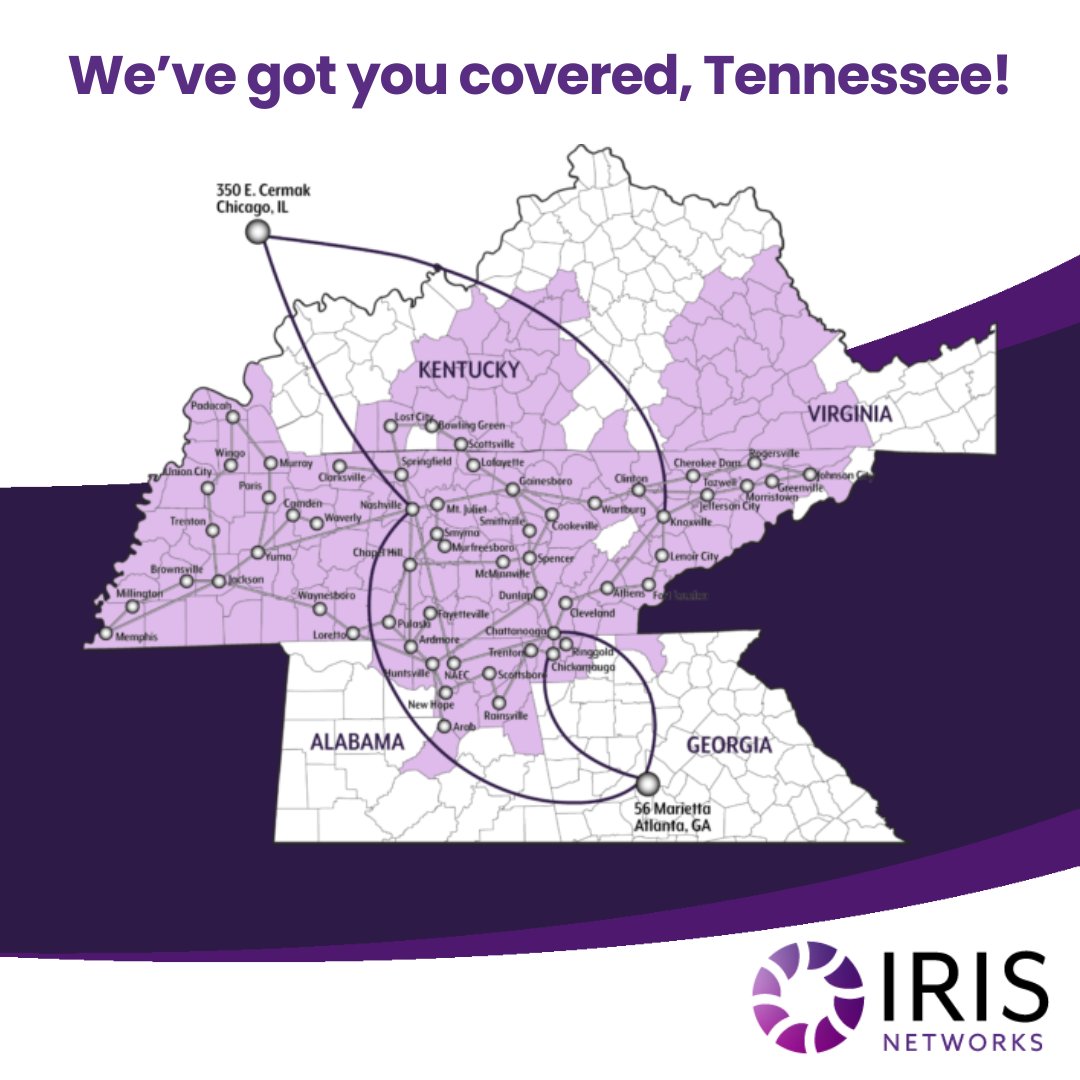 IRIS Networks tweet media