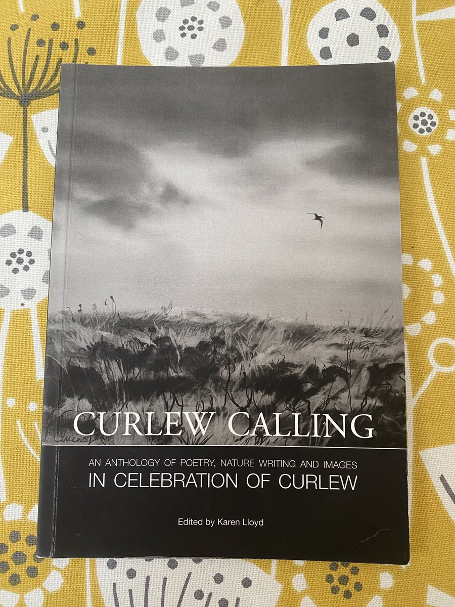The reissue of Curlew Calling arrives from the printers this week! Please share to help the fundraising! 😁
