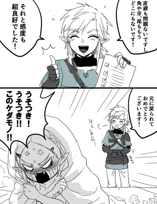 やっぱり騙されてたゼルダ様 