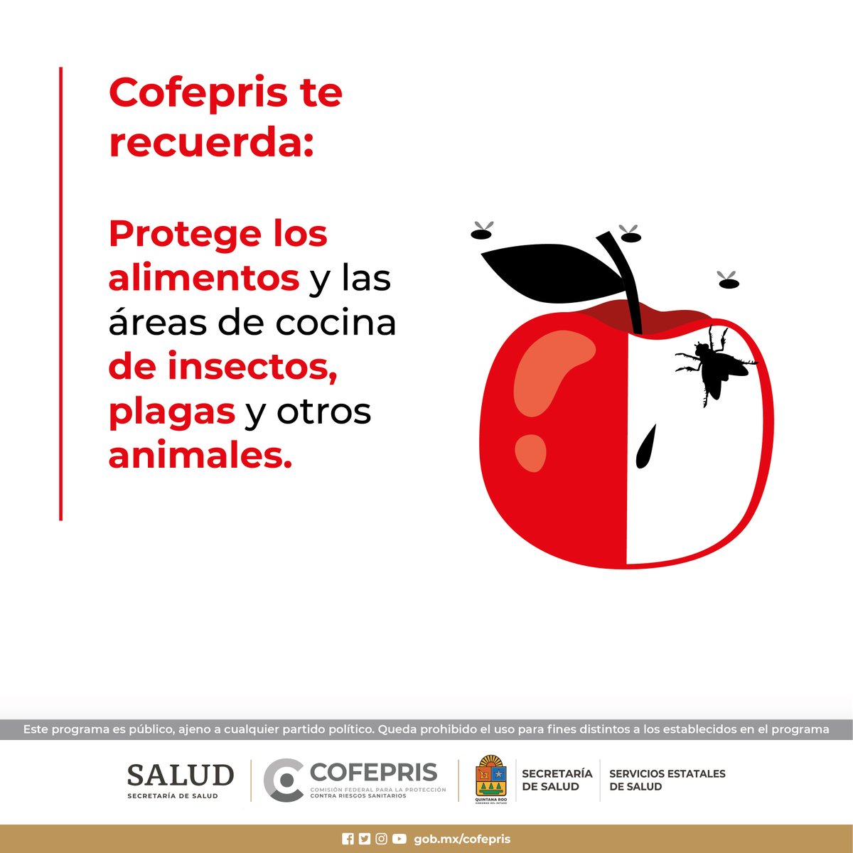Protege los alimentos y las áreas de cocina de insectos, plagas y otros animales.
@COFEPRIS 
#CofeprisTeProtege
#cofepriságil
#CofeprisJusta
#CofeprisTransparente
#Emergencias
#DprisQroo