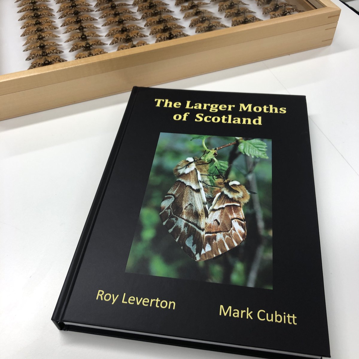 Huge congrats to @MarkCubitt & Roy Leverton on the release of their new book - The Larger Moths of Scotland 🏴󠁧󠁢󠁳󠁣󠁴󠁿 

Mark popped in today to gift us a copy for the library. Thank you! 😊📗 #MothsMatter