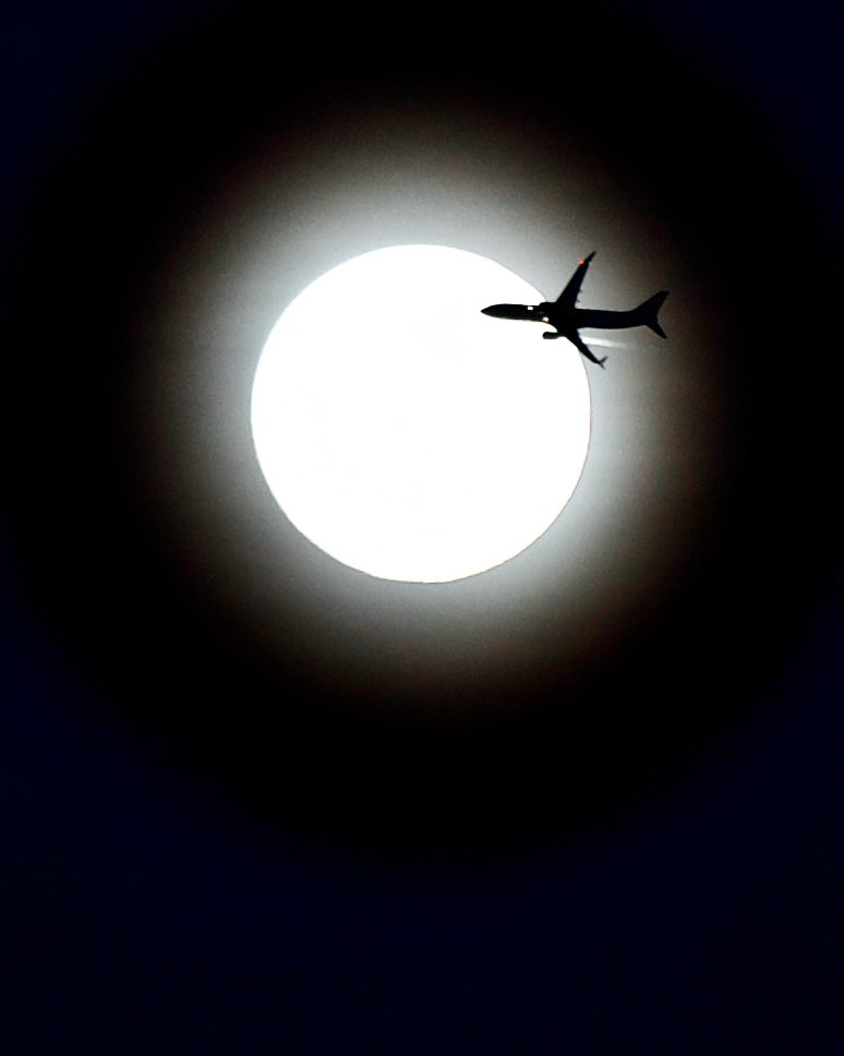 David Goodman tweet media