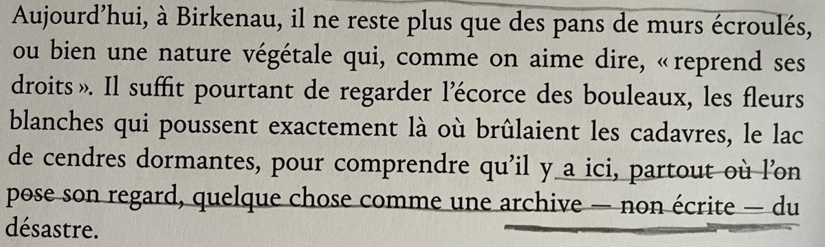 levoleurdesable's tweet photo. Didi-Huberman https://t.co/7gpaeQSXhE