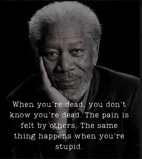 When you are dead you don’t know you are, pain is felt by others. Same thing happens when you are stupid! Truth Will Set Us Free!🙏 @827js @Ilegvm @Zegdie @Imcg_2 @RnkSt7 @LR2552 @CaP21B @BizDrUS @CJSzx12 @HPY2KW @USAVet_5 @TALKGlRL @Chloe4Djt @CaliRN619…