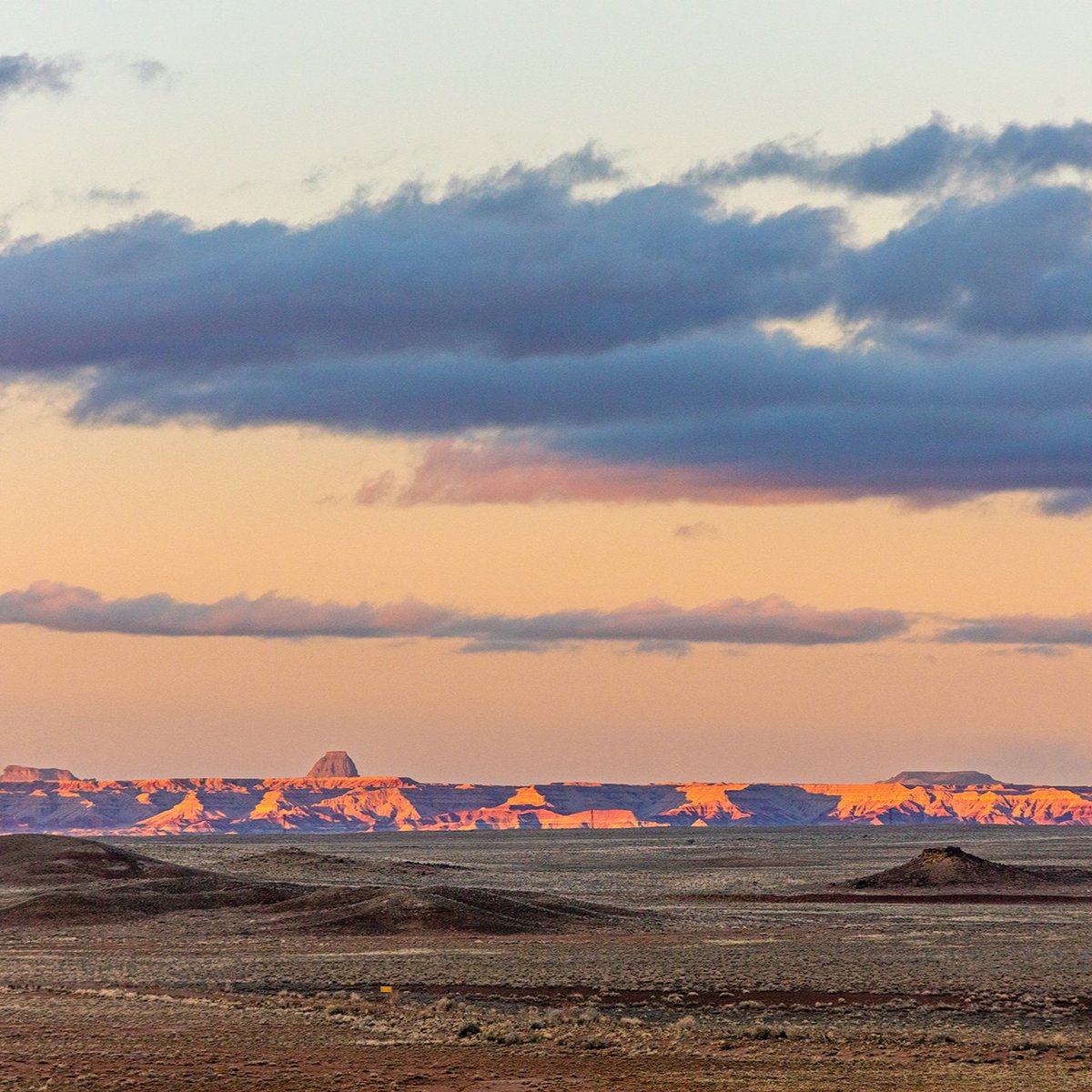 AZStateParks tweet picture