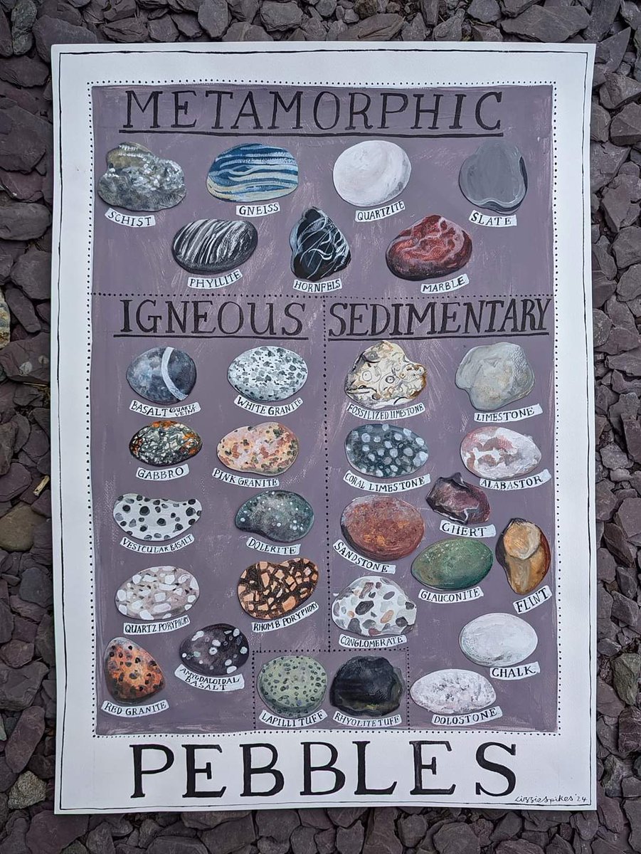 Lizzie Spikes tweet media