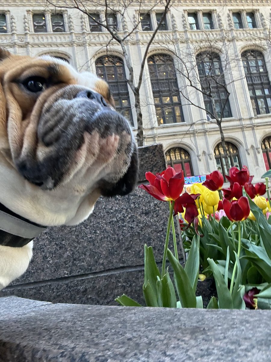 Taking time to smell the flowers on a good day !